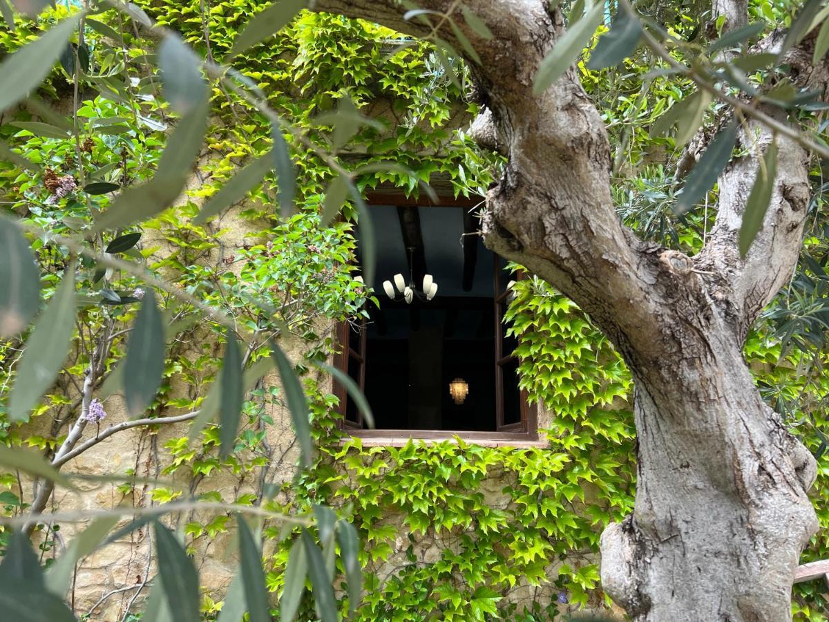 Antiguo Molino Apartment อาร์เนส ภายนอก รูปภาพ